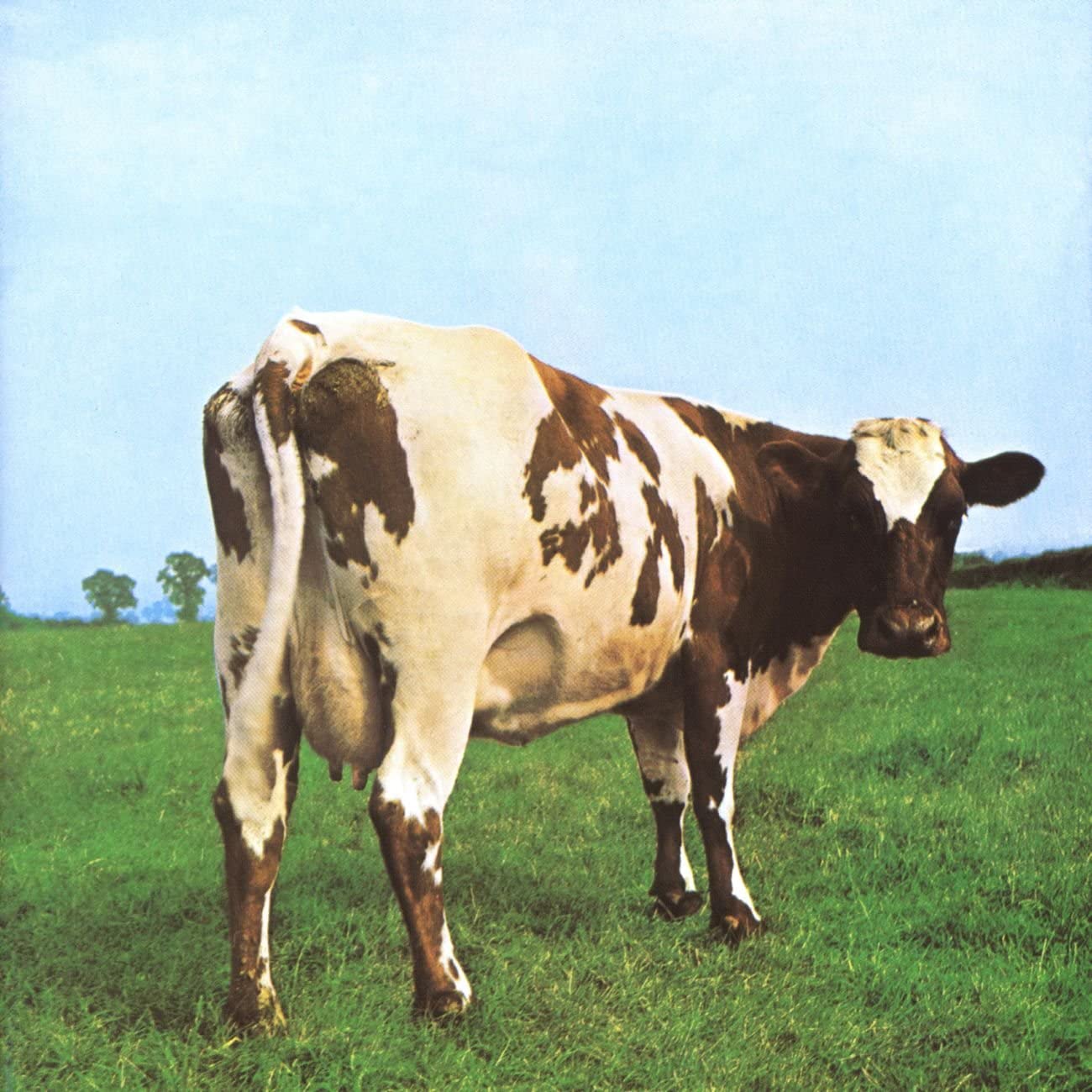 Un album molto conosciuto Atom Heart Mother dei Pink Floyd