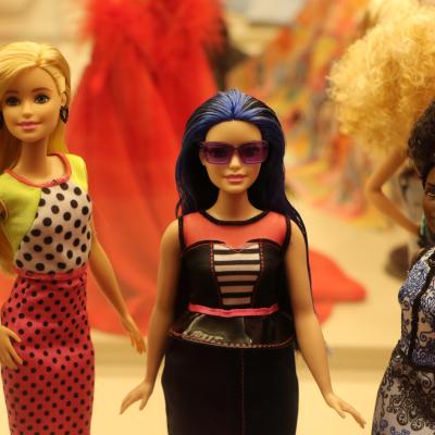 Barbie Fashionistas