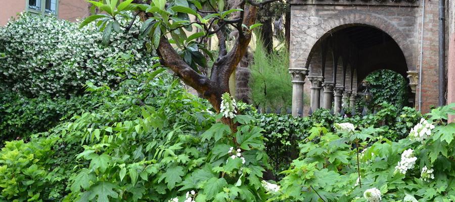 Foto di piante, fiori e alberi con porticato in pietra sulla destra.