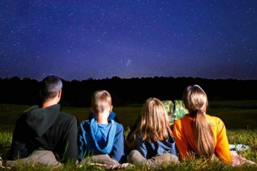 Foto di quattro persone di spalle semi-sdraiate su un prato che guardano il cielo di notte.