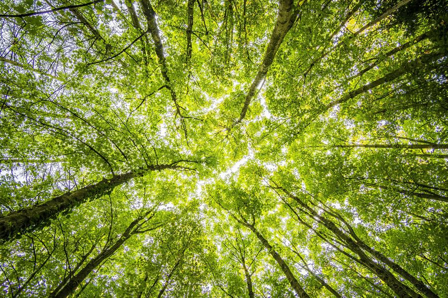 Premio Non sprecare ambiente sostenibile