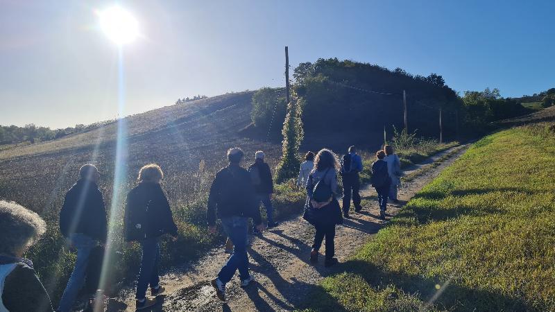 persone che camminano in montagna 