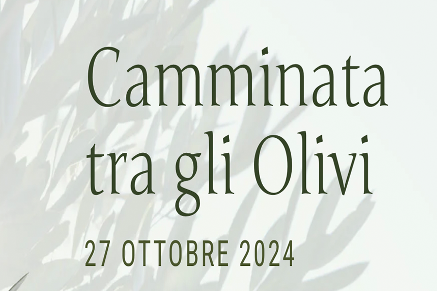 Locandina evento camminata tra gli olivi