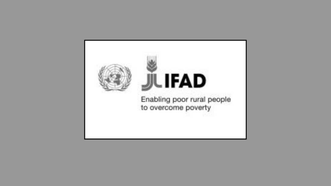 ifad-internship