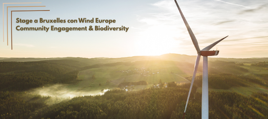B Stage a Bruxelles con Wind Europe Community Engagement & Biodiversity.png