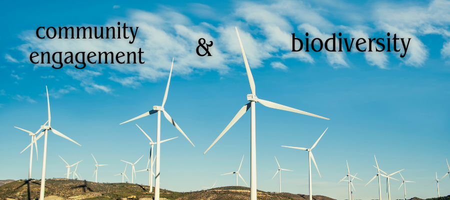 tirociniobiodiversitàcomunitàambiente