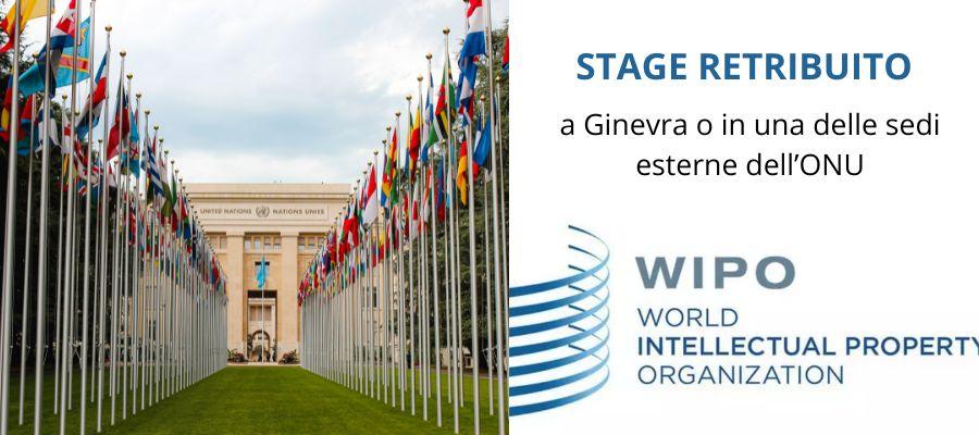 stage-retribuito-a-ginevra-o-in-sedi-esterne-ONU