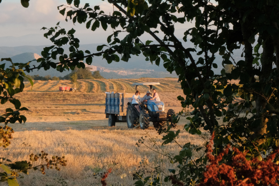 campagna
