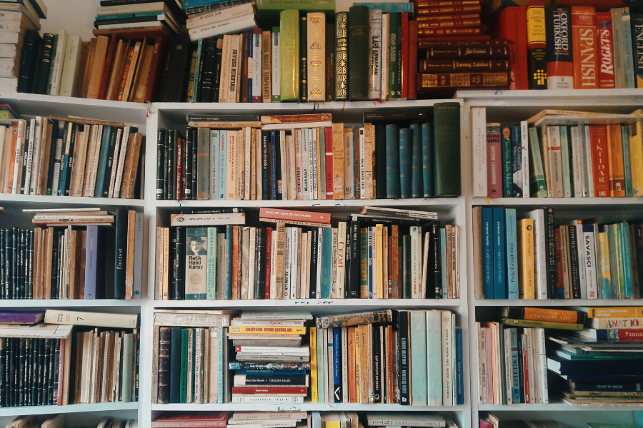 scaffali con libri