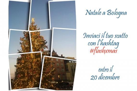 Contest fotografico Flashxmas