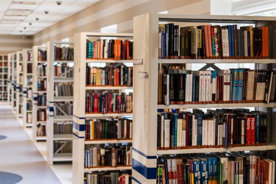 Foto di colonne di libri di una biblioteca. 