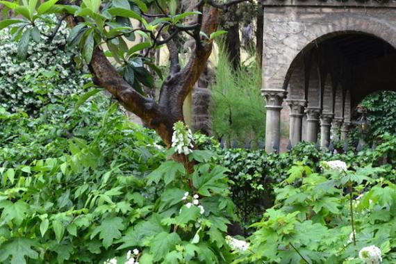 Foto di piante, fiori e alberi con porticato in pietra sulla destra.