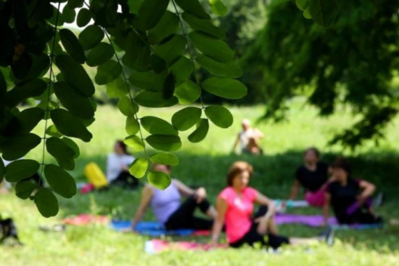 Foto di parco con pianta in primo piano, e in secondo piano alcune persone sfocate che fanno yoga su materassini colorati.