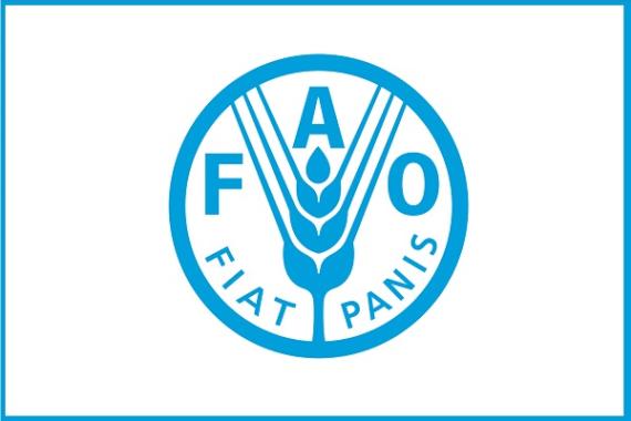 logo FAO