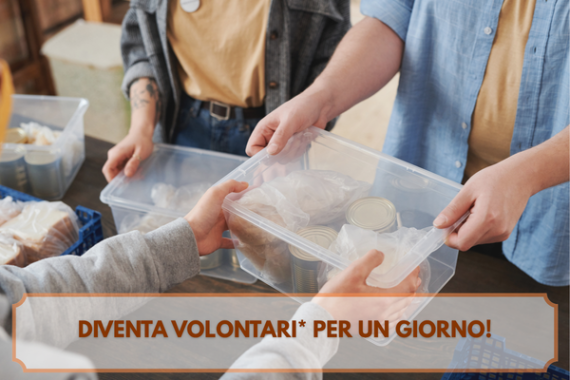 T VOLONTARIO (1).png