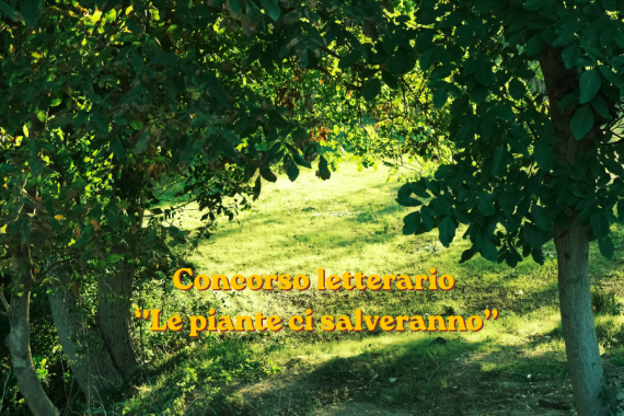 alberi con scritta ''concorso letterario, le piante ci salveranno''