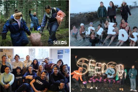 SEEDS - volontariato in Islanda